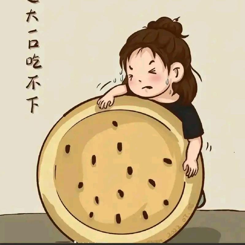 袁袁满满