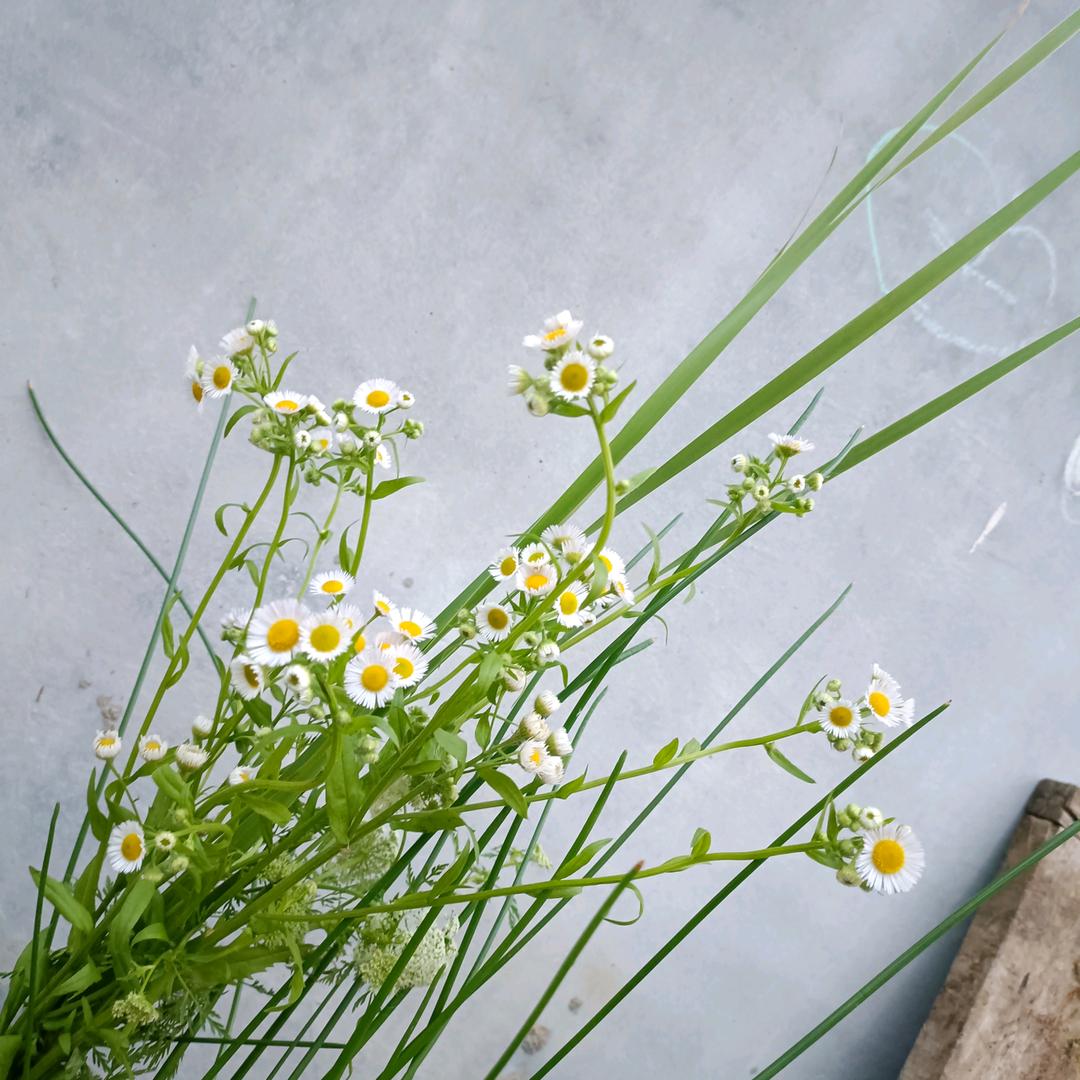 唯有孤独是永恒