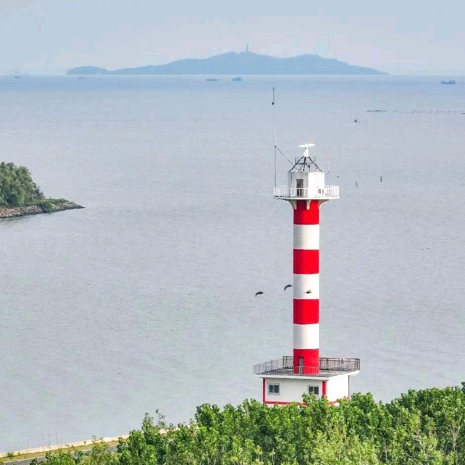 瞰霸都