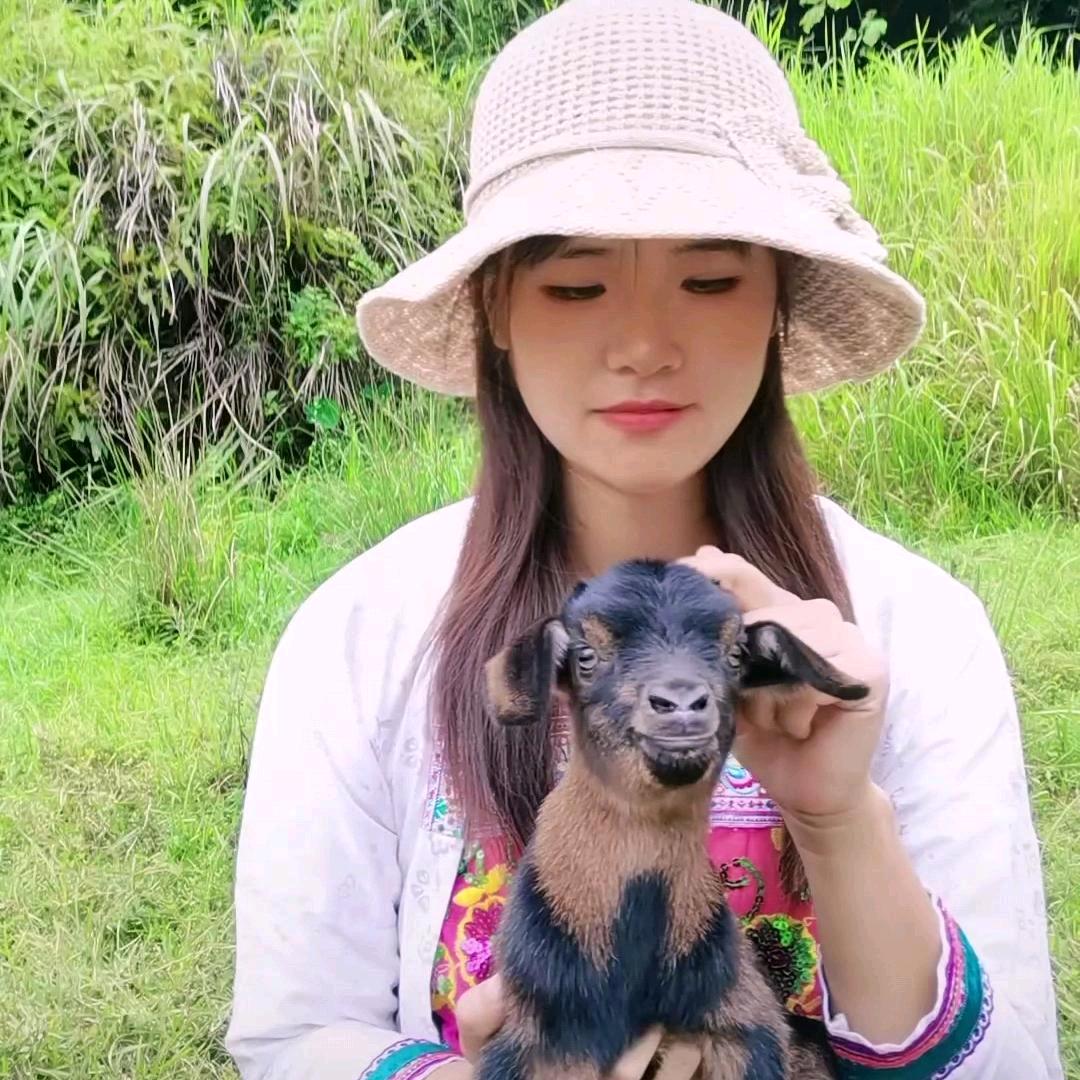 农村放羊妹