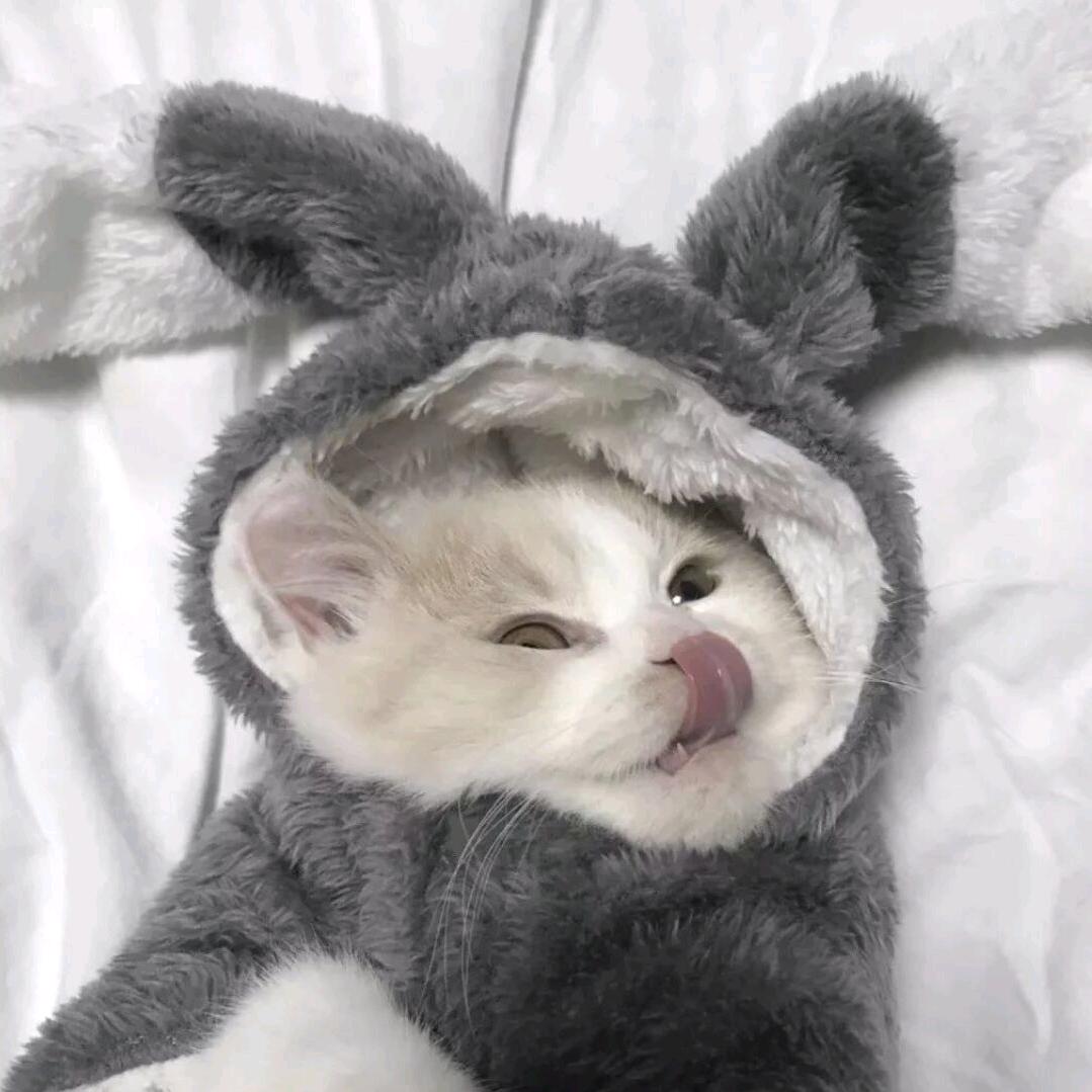 查克不要靠近