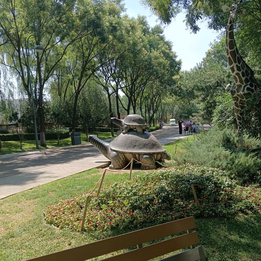 🥀ℒᎭℯyangꦿ҉᭄࿚ནོ⁵²⁰