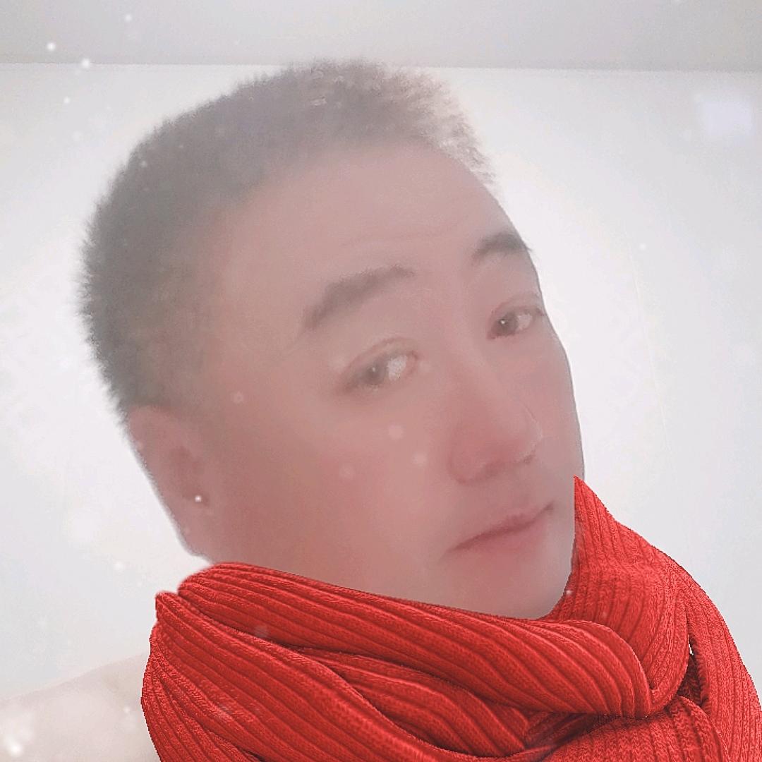 飞蝶