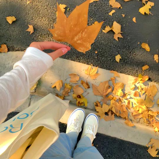 小格子优选