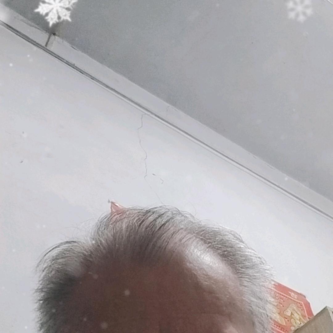 直指原真