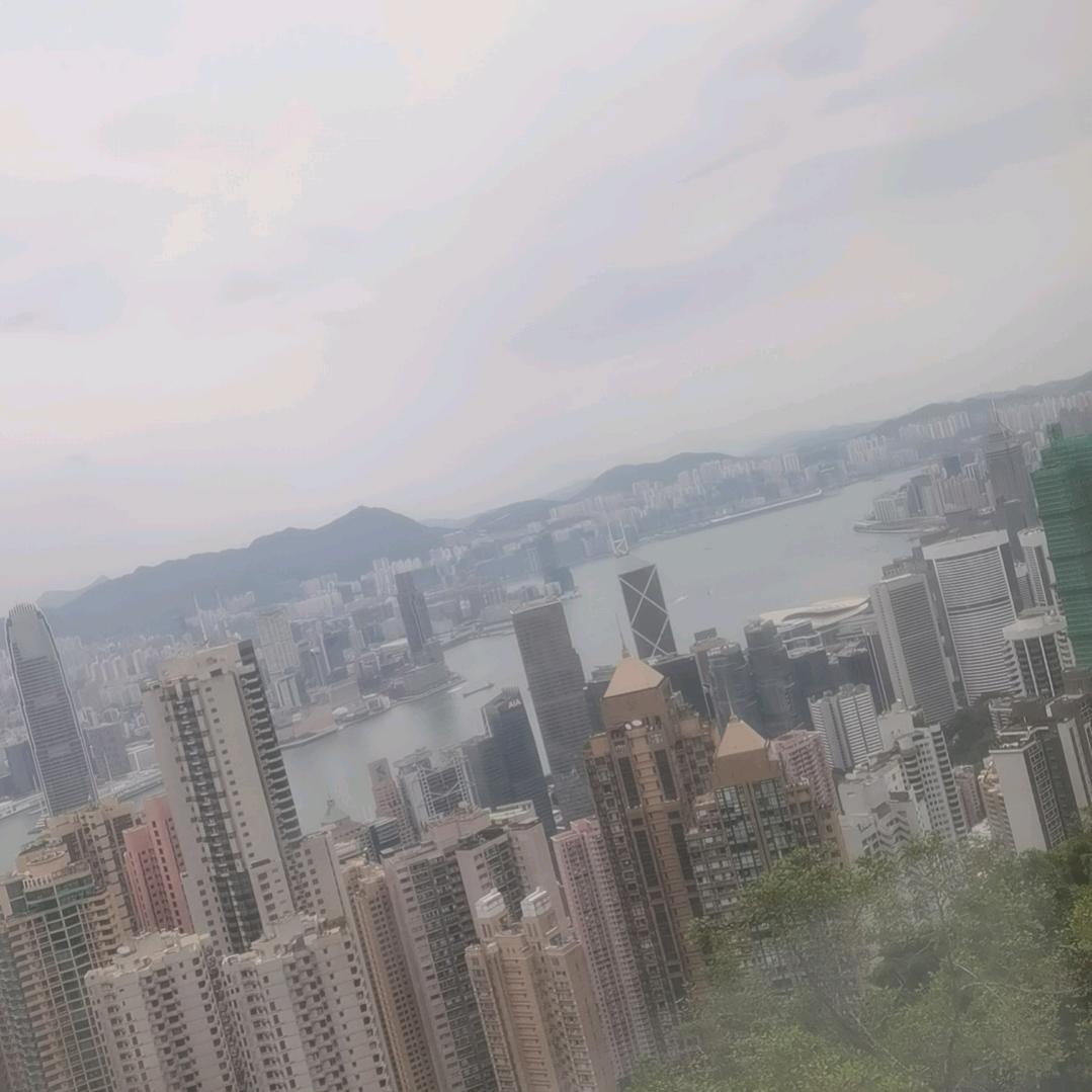 我在人间凑数
