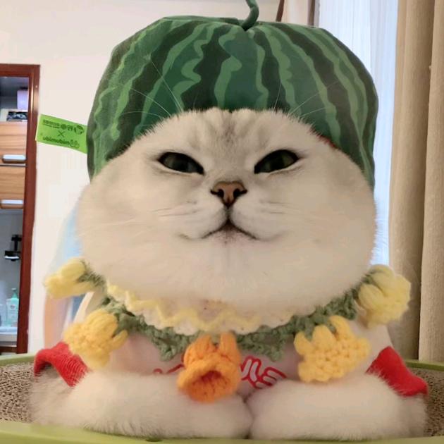 冥王星