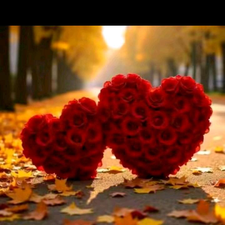ㅤღ___R♥🌹♥