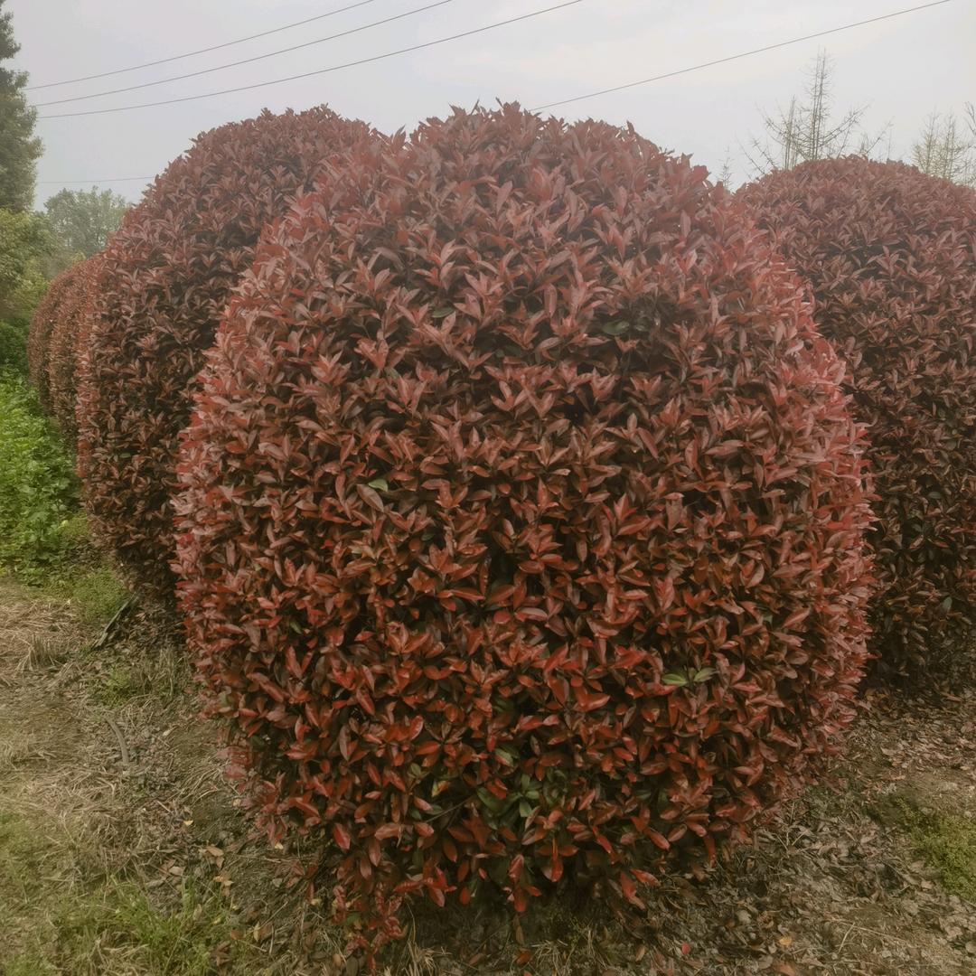 新的起点
