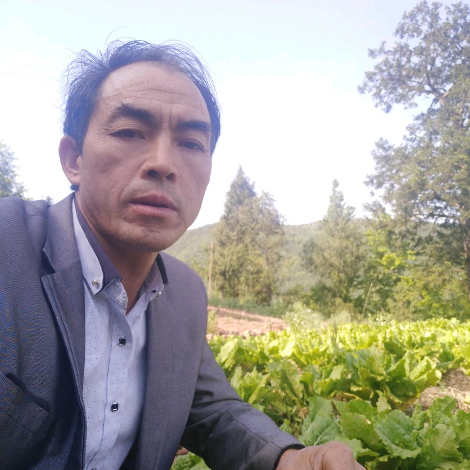 与你相伴