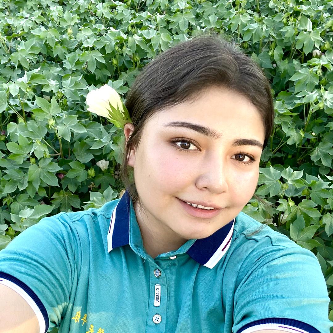 多多说农 小麦
