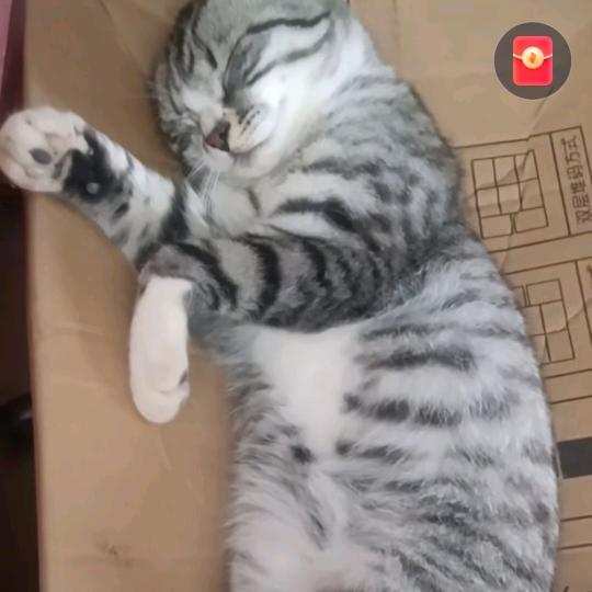 燕儿姐