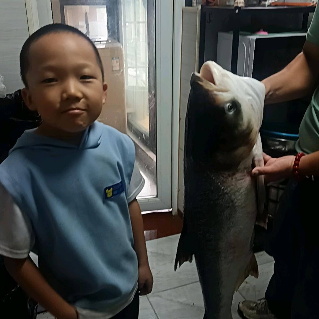 郑的李