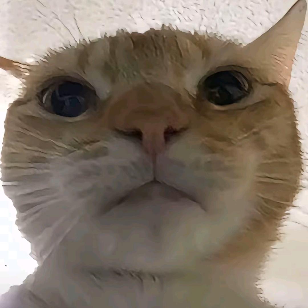 星光电脑diy工作室