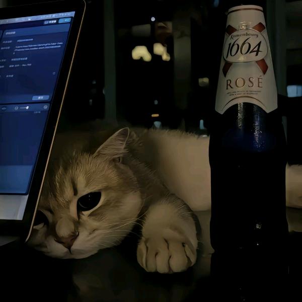 居住证不想你走看