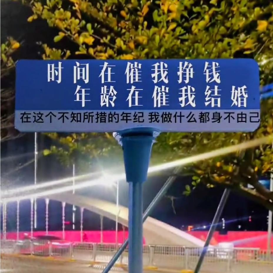 青年鸽舍