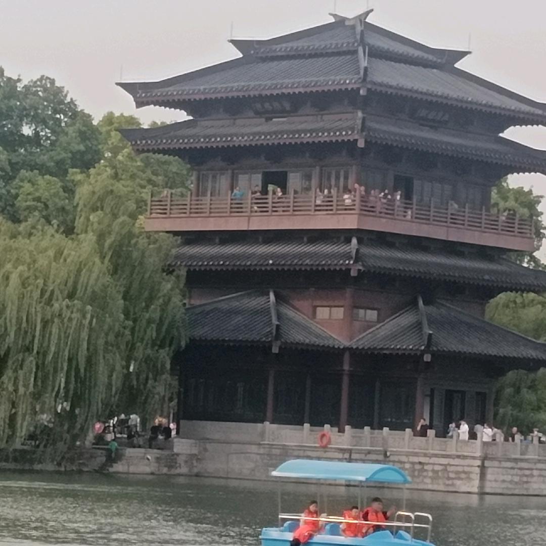 孤燕南飞