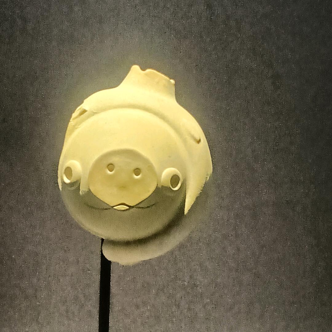 快来关注