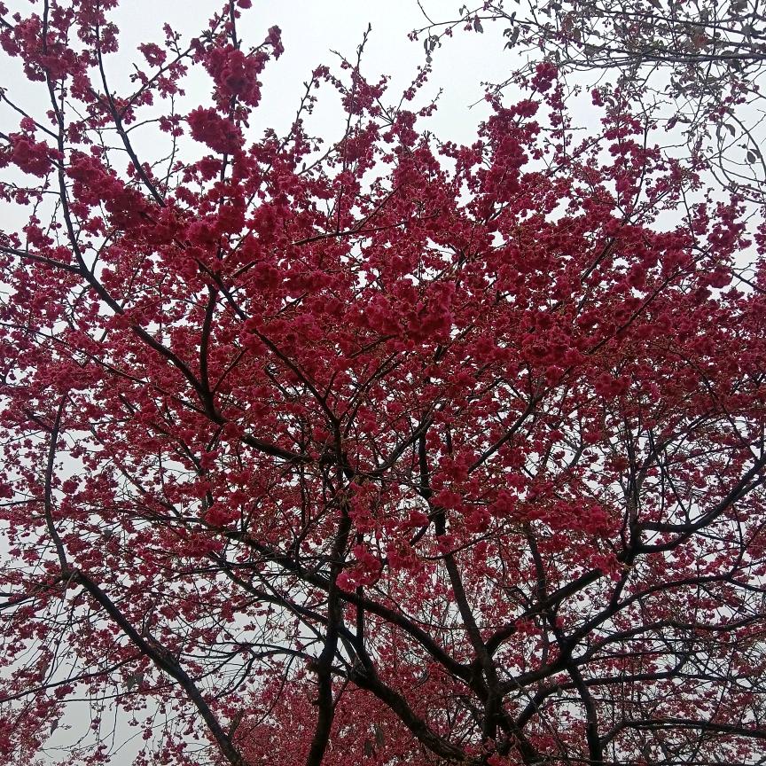 都很好