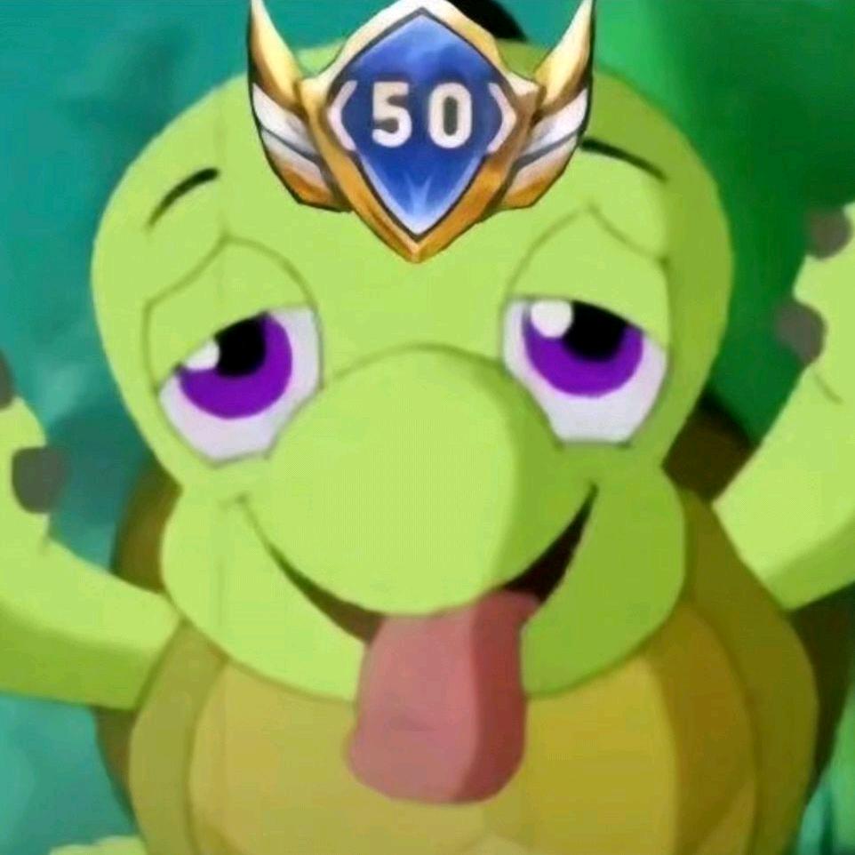 双面龟大王🐢