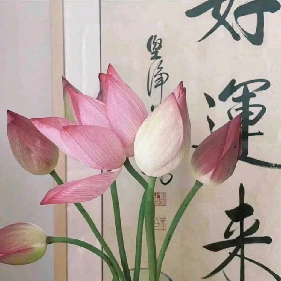 升学规划陈老师