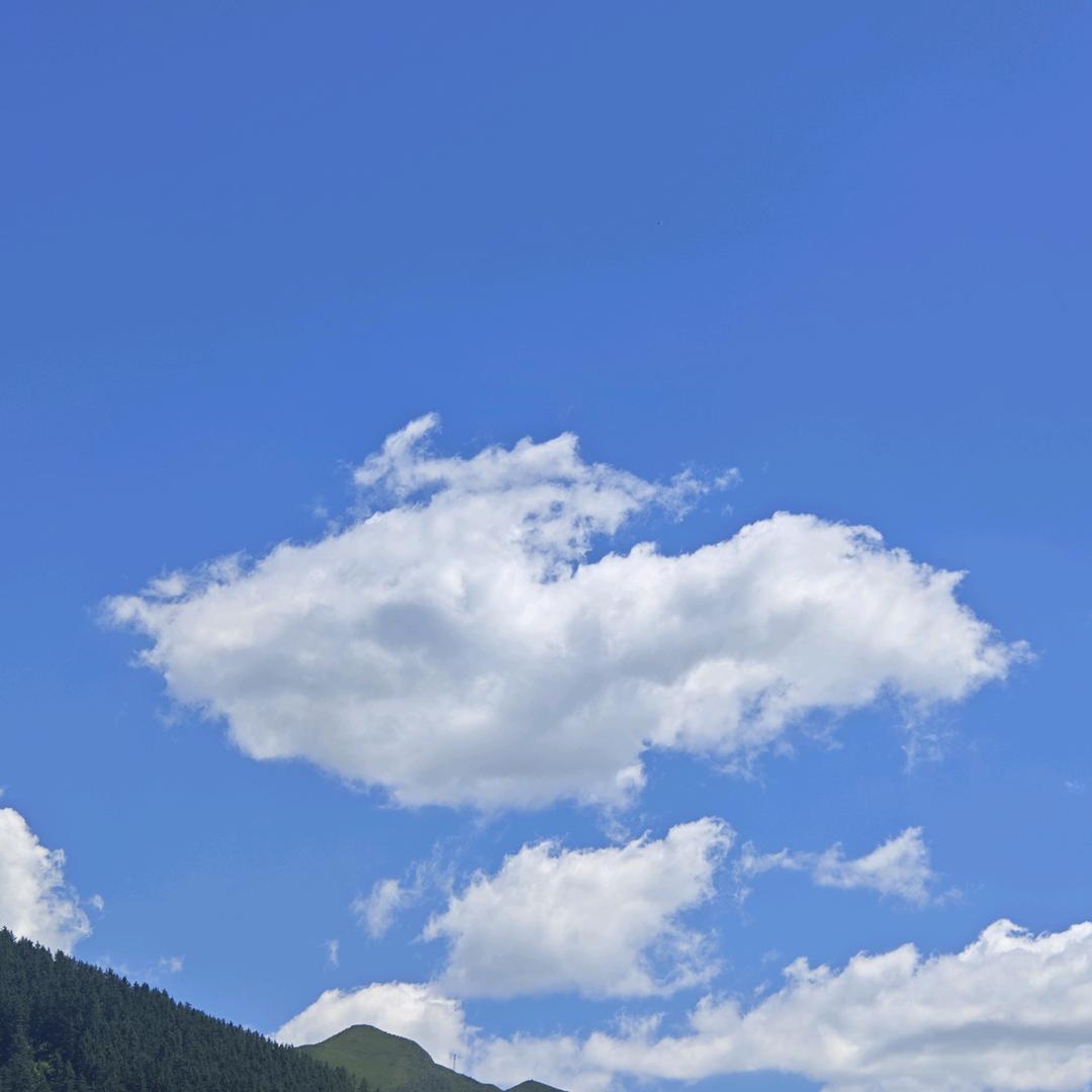 游哉