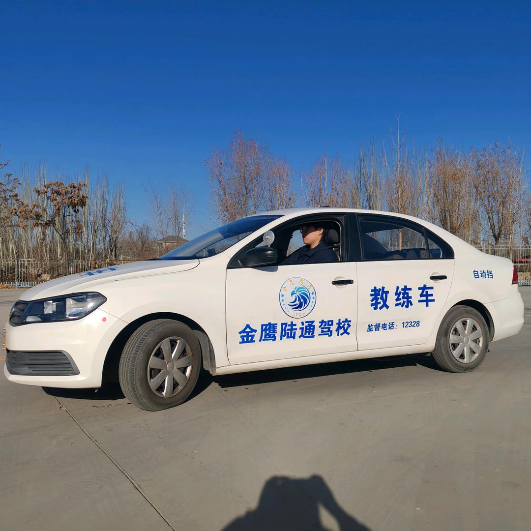 专业驾考-王教练