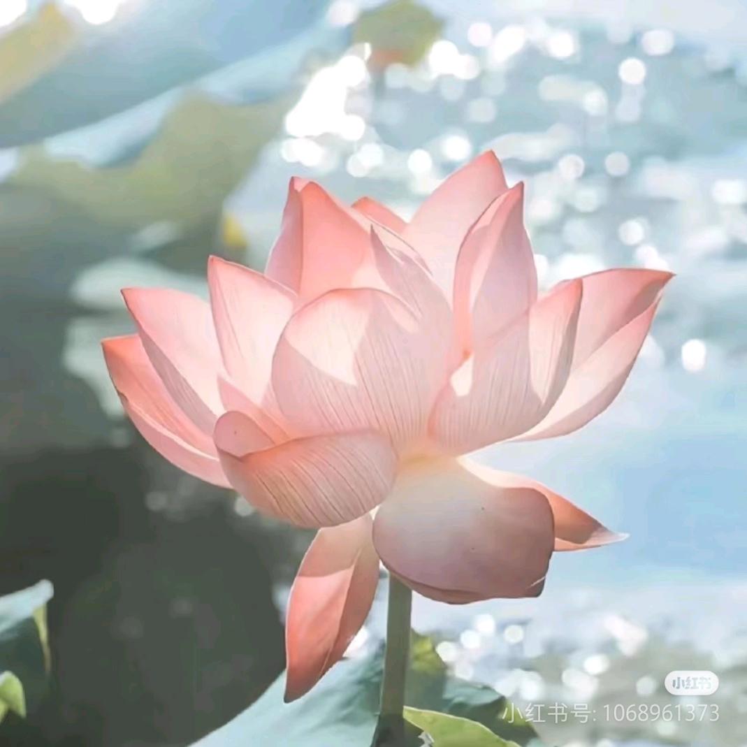昌锦🌹