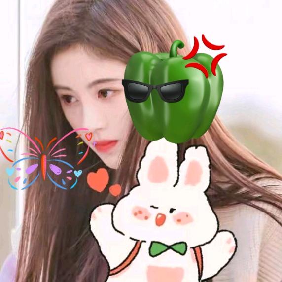 🐢龙哥怪有才小号（娱乐表演）