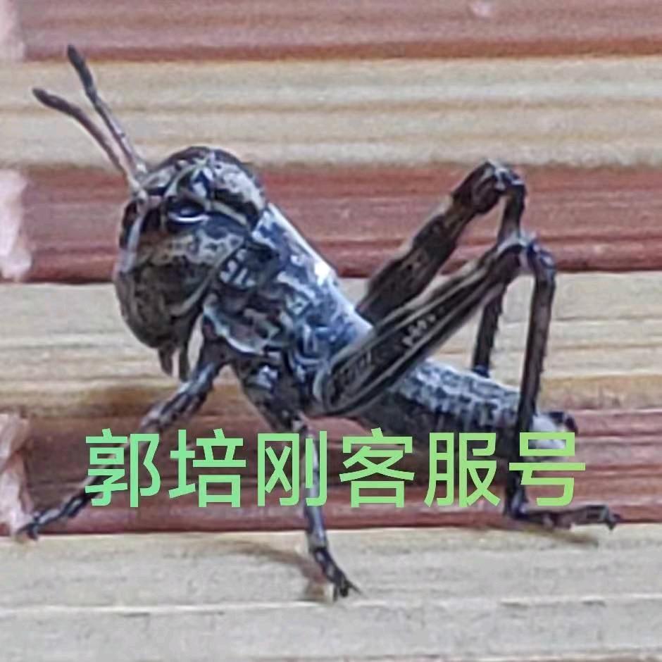 郭培刚蚂蚱养殖服务站