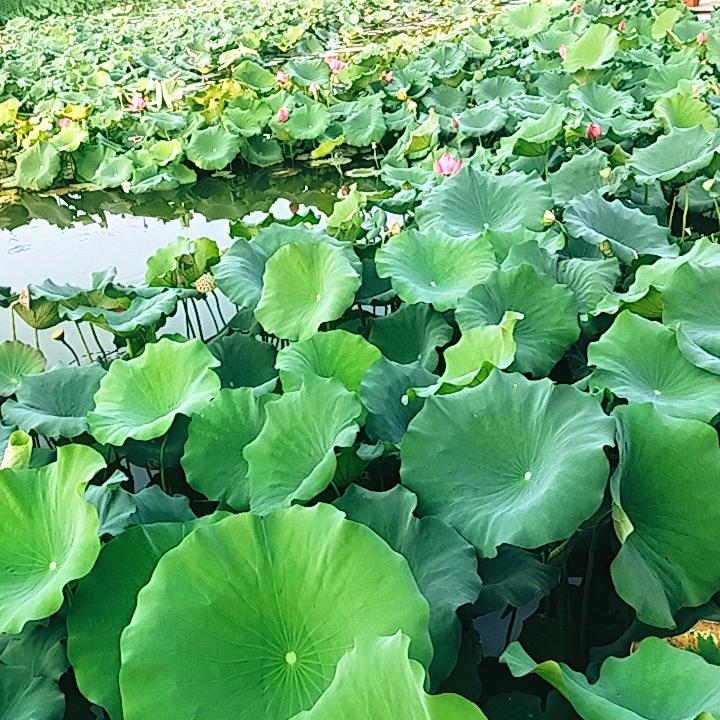 (ﾉಥ岁月催人老ಥ)