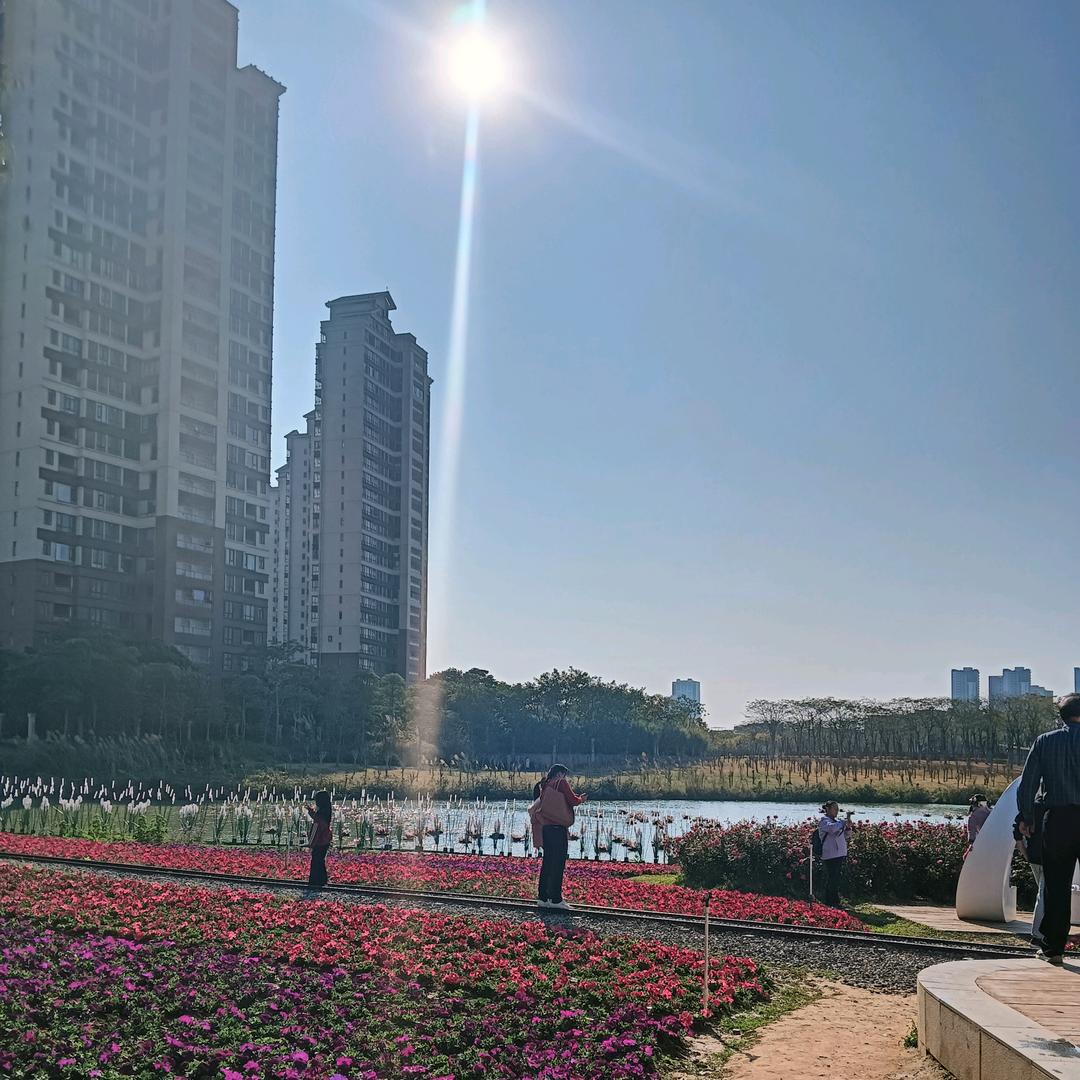 橘子🍊🇨🇳