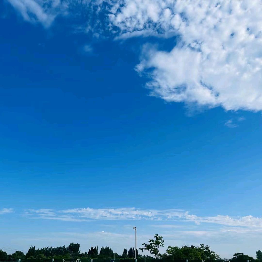 小左