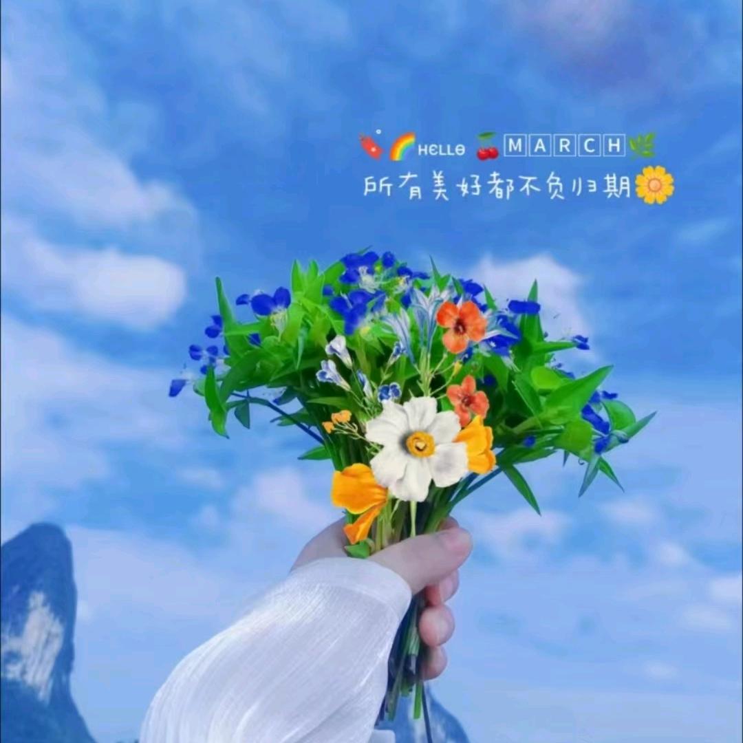 ℋღ᭄星星🍒不打᭄杨💞࿐