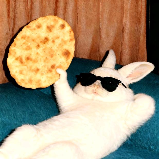 小狗拉粑控制全球黄金命脉