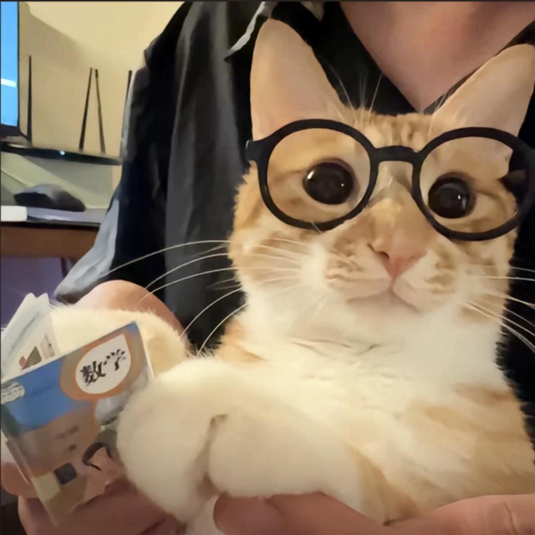 WHY.