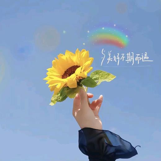 90后自装小窝🏠