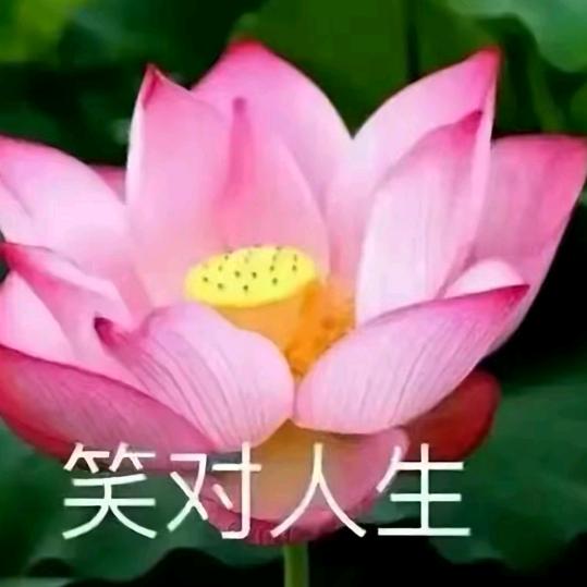 花开富贵开心就好