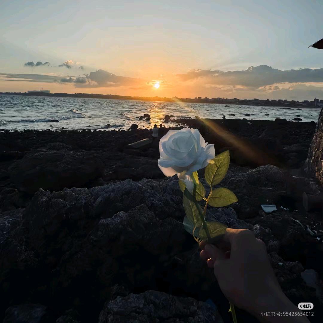 我不爱吃花生油