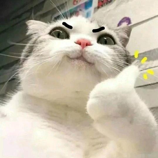 随便什么都好