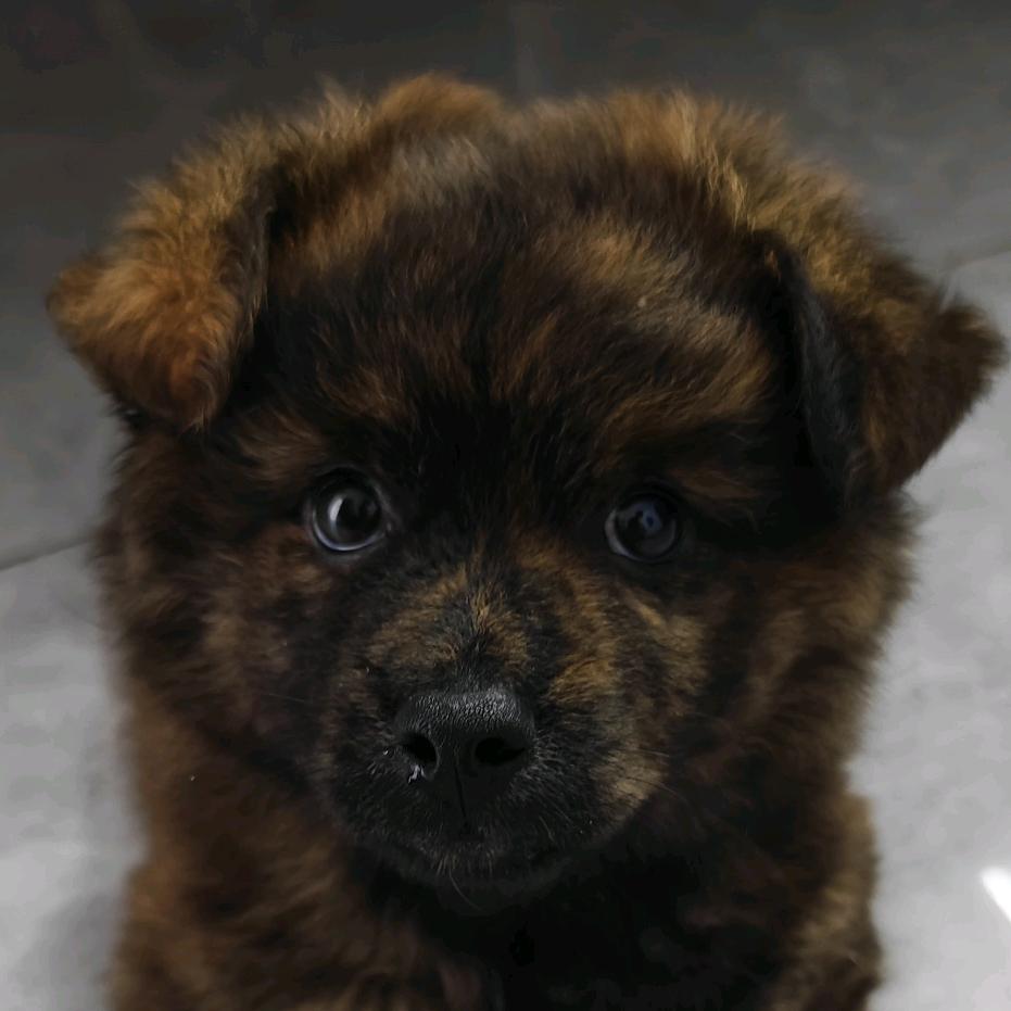 終奖(完成摩旅)