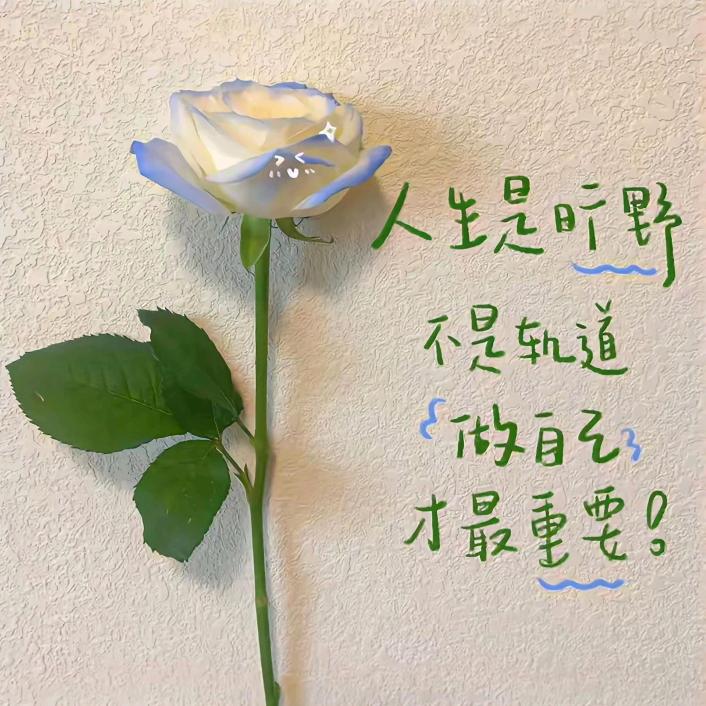 芳芳姐