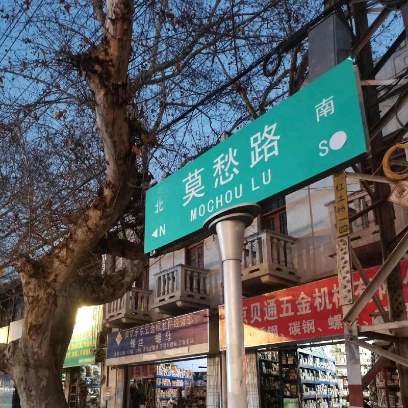 彼方尚有荣光在