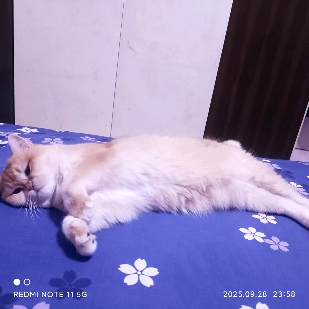 伍零贰