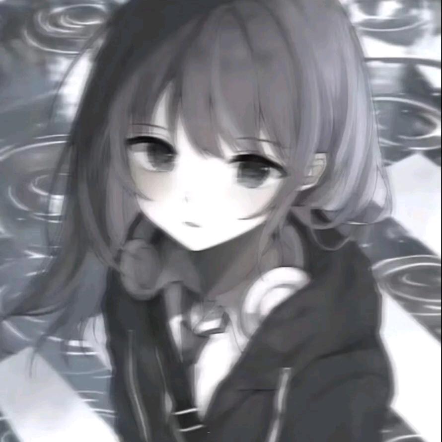问风