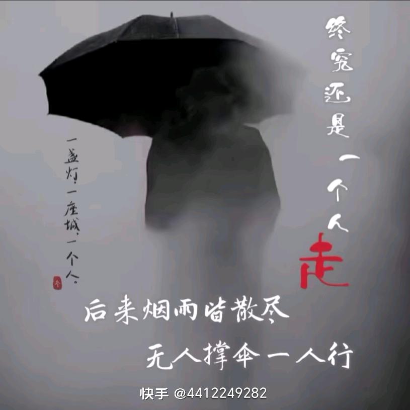 小绵羊