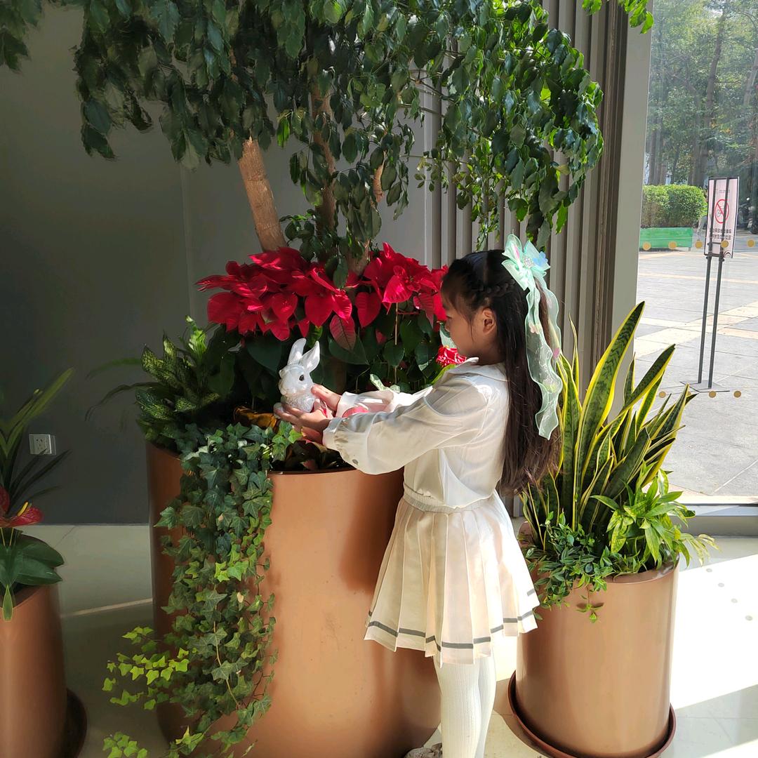 🌈嘚瑟的小情绪