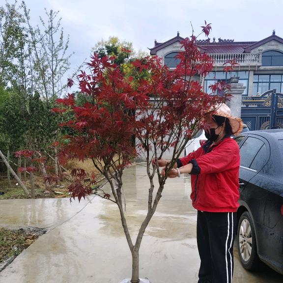 筠钗田觅语专卖店