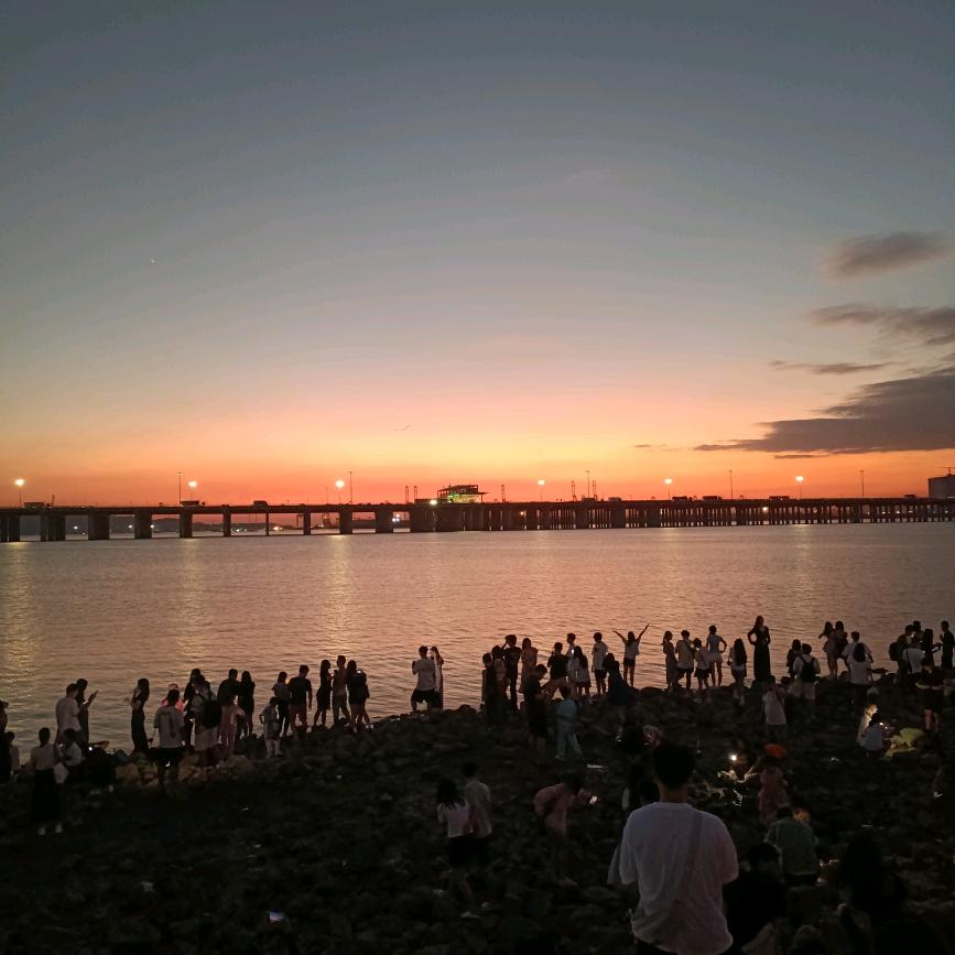 投你所好