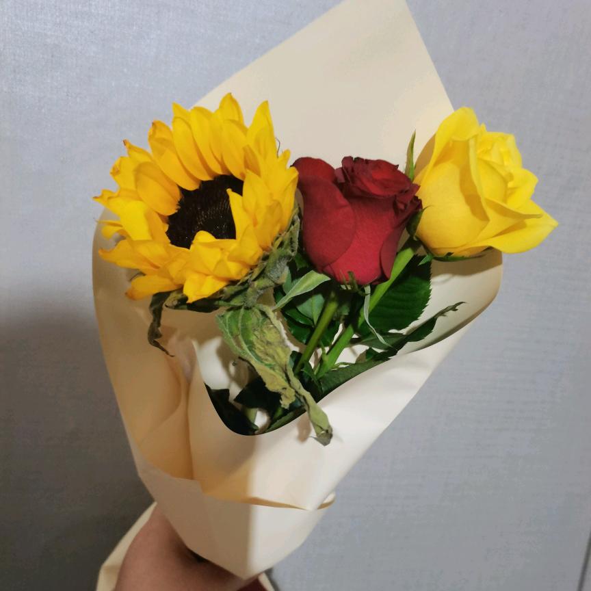 余生各自安好